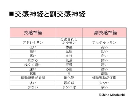 自律神経_詳細